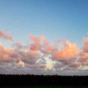 Meet your Posher, Monika